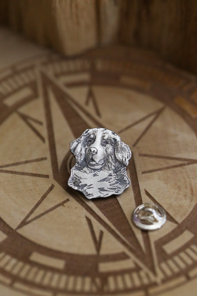Pies berneńczyk broszka - przypinka ze srebra