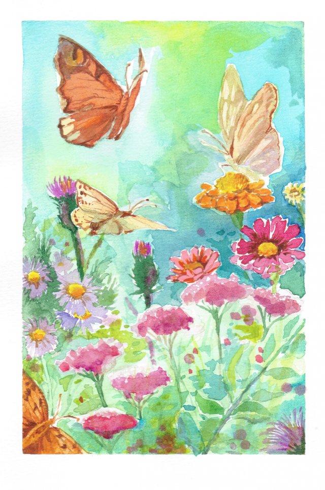 Motyle nad kwiatami - akwarela, oryginał