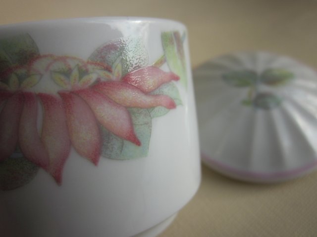 THE PASTEL  COLLECTION  -  RAPSODY- HANDCRAFTED  - DENBY  FINE PORCELAIN  WEST GERMANY  608