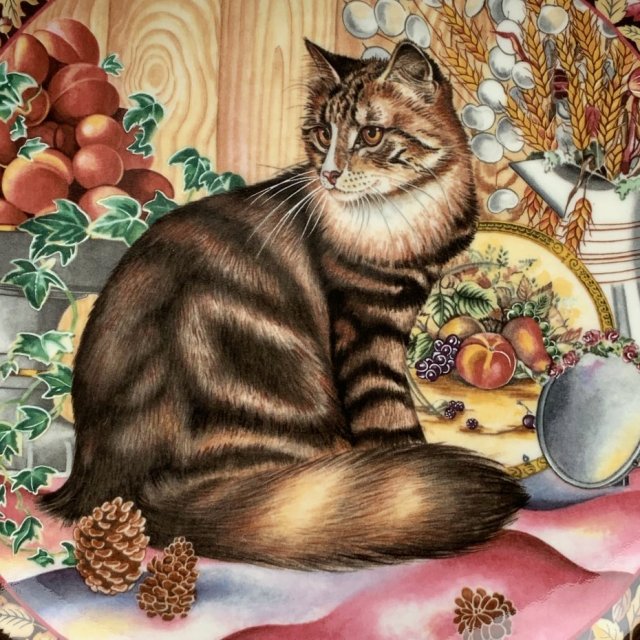 Rarytas!  ❀ڿڰۣ❀ Aynsley - Koci portret ❀ڿڰۣ❀ Piękne rzadkie wydanie ❀ڿڰۣ❀