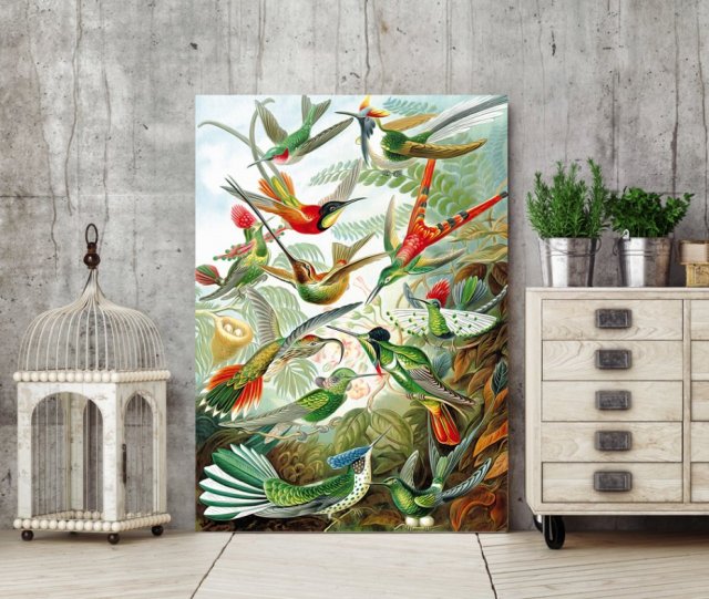 Plakat rajskie ptaki 70x100 B1