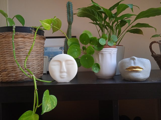 Face candle wosk sojowy