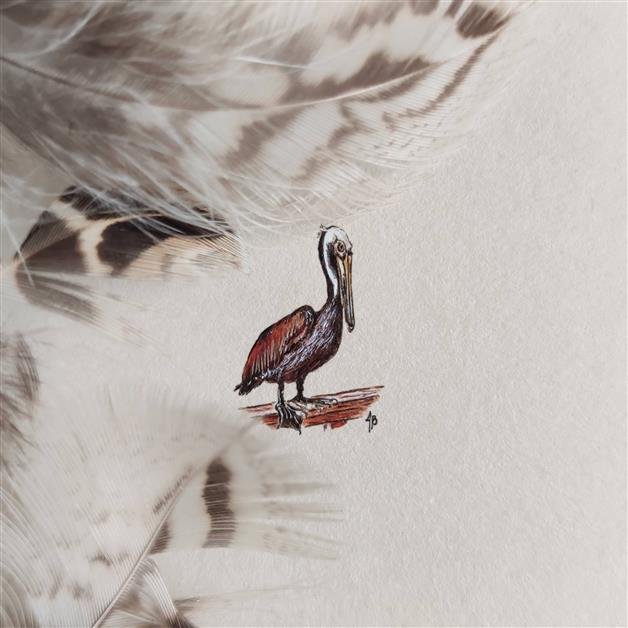 Pelikan, ptak vintage, oryginalna miniatura