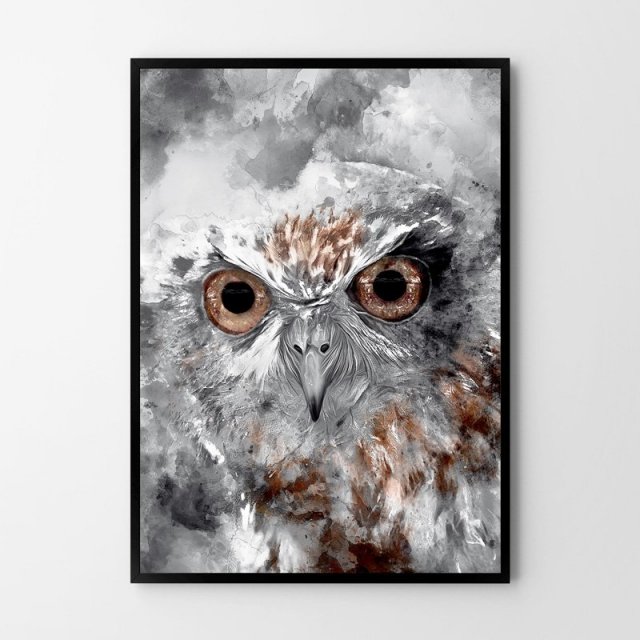 Plakat sowa 70x100 duże obrazy plakaty