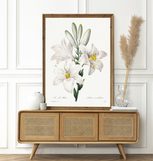Plakat Białe kwiaty vintage 50x70 cm B2