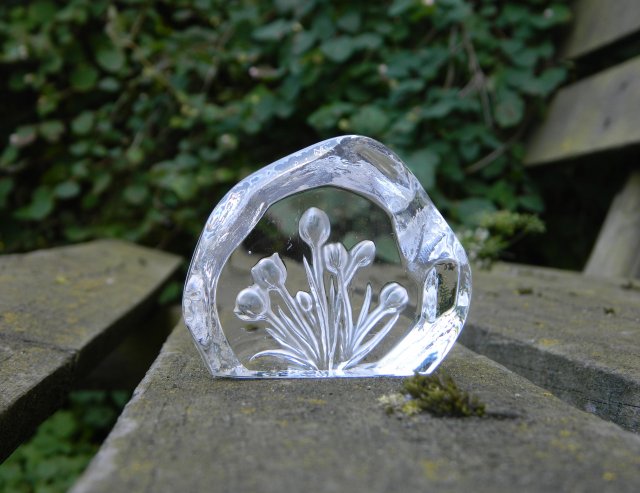 Capredoni Dartington Crystal Flower TULIP Paperweight szkło dekoracyjne * przycisk do papieru