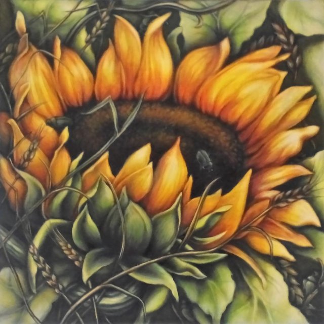 Obraz "Slonecznik i chrząszcz" na płótnie 100x100 cm
