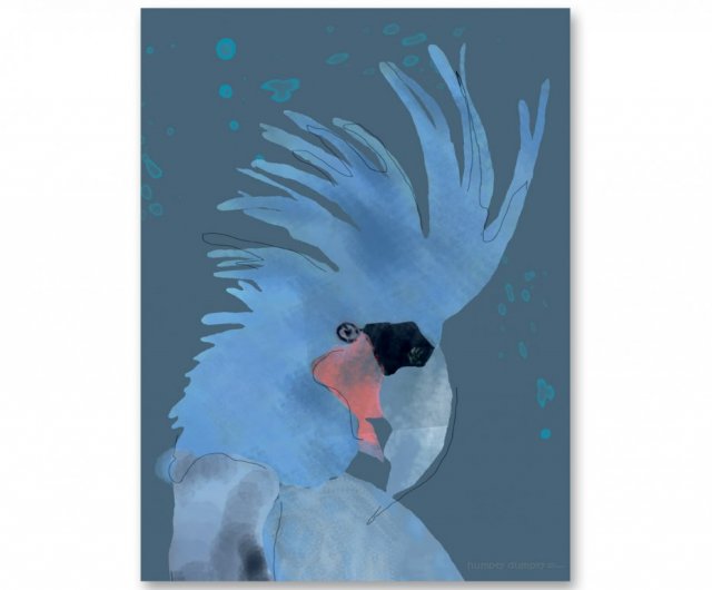 PLAKAT dla dzieci BLUE PARROT