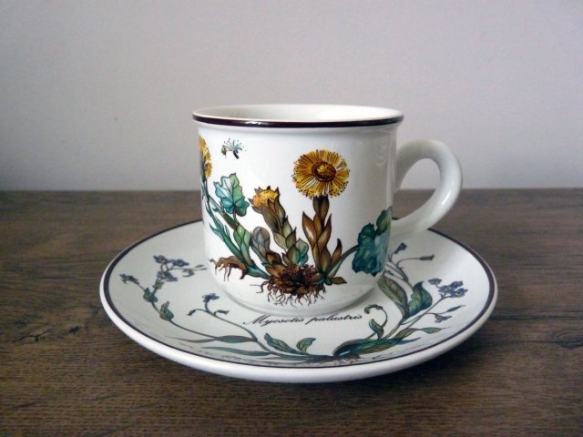 Niemiecka porcelana Villeroy & Boch wzór Botanica duża filiżanka i spodek