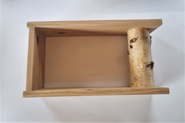Drewniana półka na książki, z drewna, z pniem brzozy