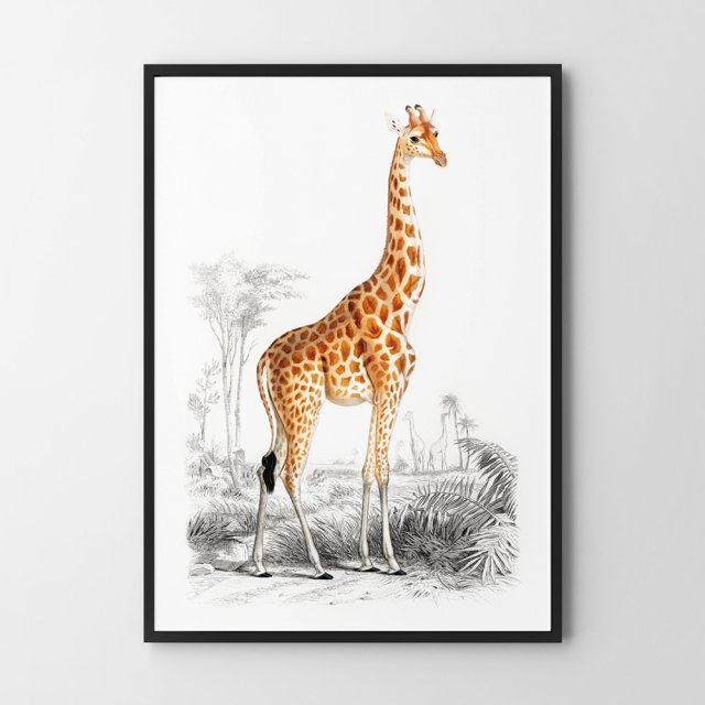 Plakat Żyrafa vintage - format 30x40 cm