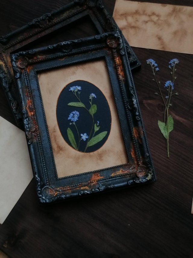Obraz, kwiaty niezapominajki w stylizowanej ramie retro