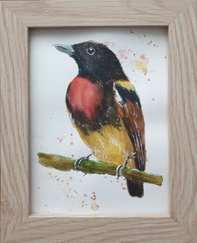 Akwarela ręcznie malowana ptak +rama