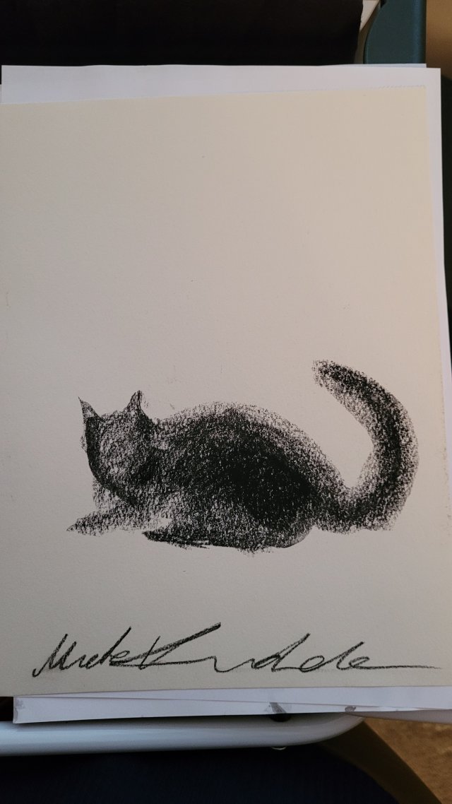 Rysunek kotek