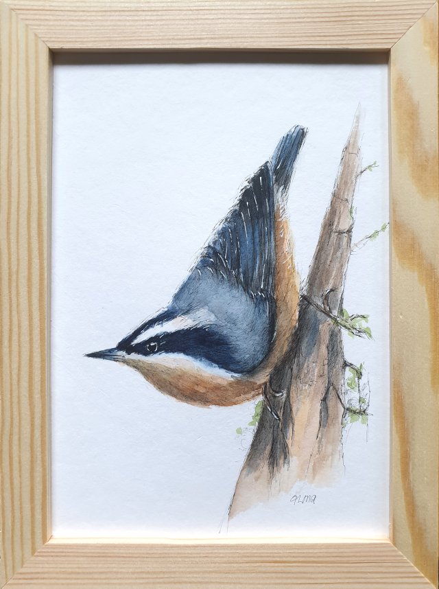 Obraz ręcznie malowany Kowalik ptak +rama
