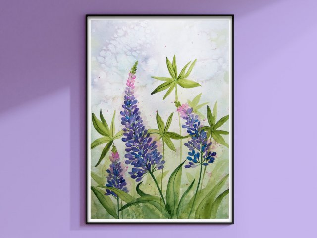 Łubin. Oyginalna akwarela 30x40cm