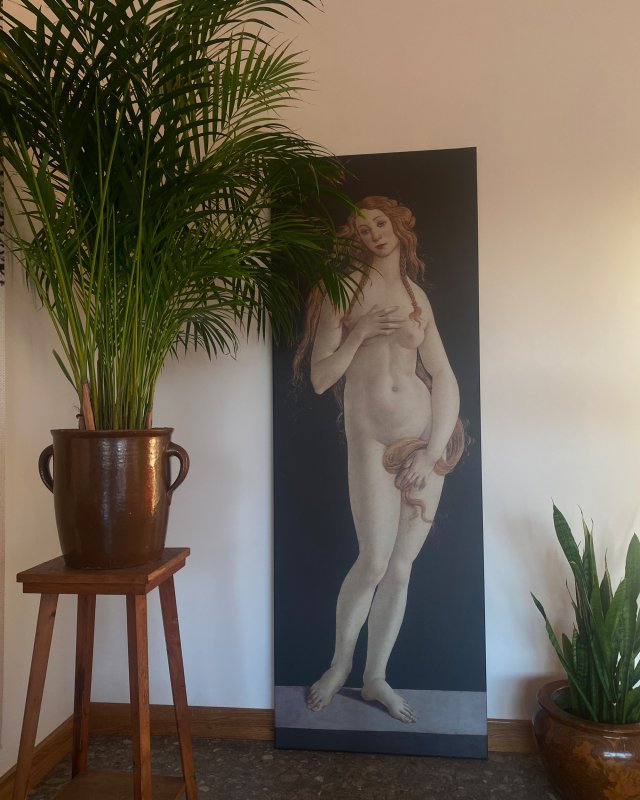 Obraz na płótnie - Venus, body art, akt, bogini