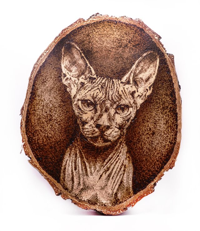 Kot Sfinks - pirografia (17x21 cm) obraz wypalany na drewnie, wyjątkowy prezent, woodburning, pyrography art