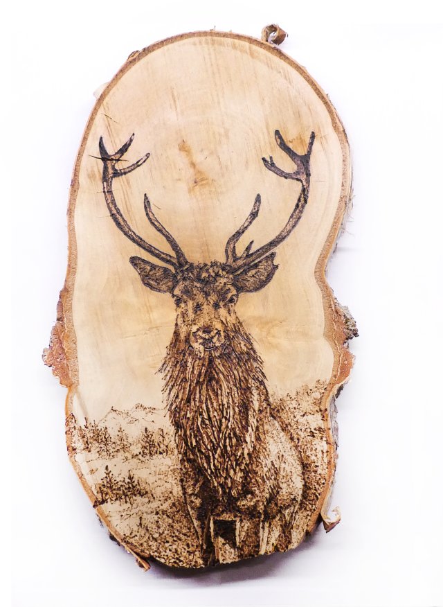 Jeleń - pirografia (18x32 cm) obraz wypalany na drewnie, wyjątkowy prezent, dekoracja na ścianę, woodburning, pyrography art