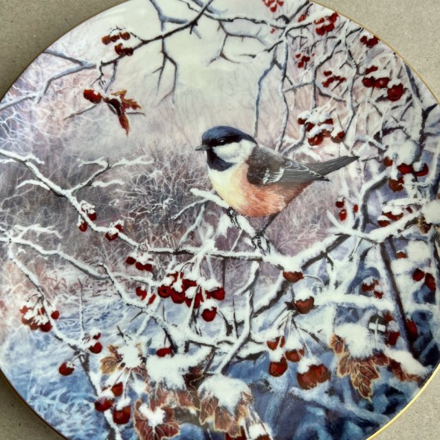 The Winter Garden - David Feather ❤ Wedgwood - Sikorka