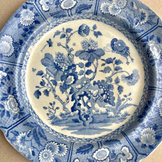 Rzadka patera! ❀ڿڰۣ❀ SPODE ANTIQUE BLUE ROOM ❀ڿڰۣ❀ Tajemniczy ogród