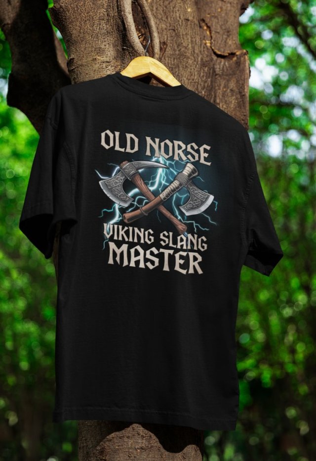 KOSZULKA Męska T-SHIRT VIKING Historical Warrior S, M, L, XL, XXL
