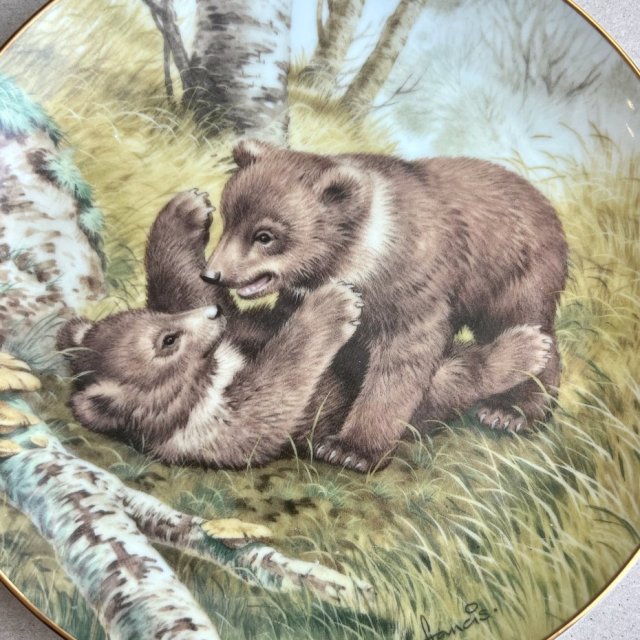 John Francis - The Forest Year 1982r. ❤ Talerz ozdobny ❤ Bear
