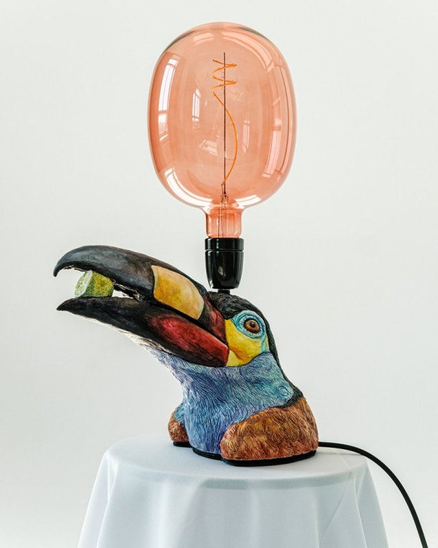 Bird Andigena laminirostris named Javier
