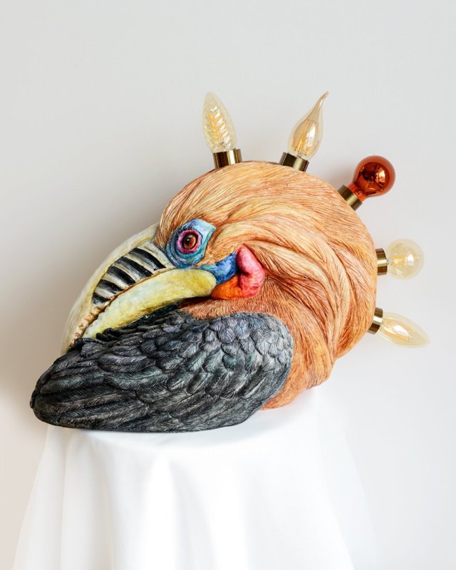 Bird Hornbill named Frederick the Magnificent