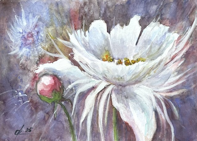 Taniec płatków Original Akwarela A4