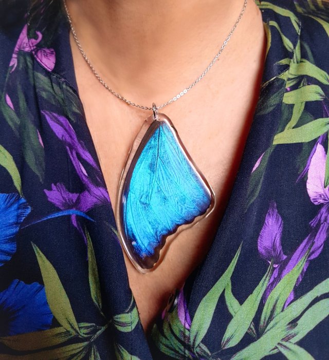 Naszyjnik z motylem morpho didius, naszyjnik motyl