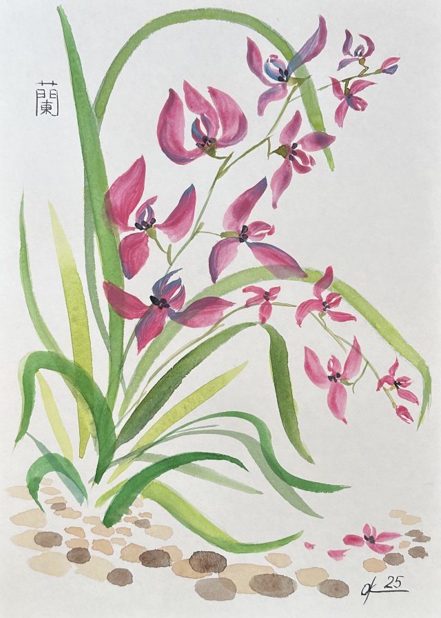 Dzika różowa orchidea. japońskie malarstwo sumi-e. Original Akwarela A4