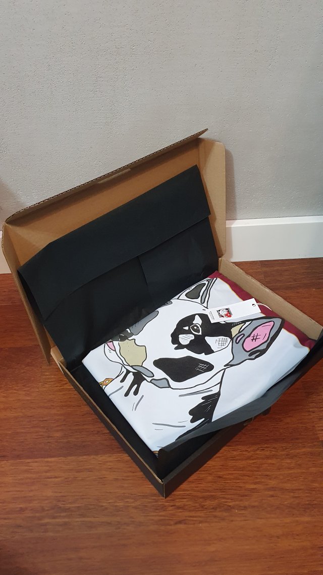 BOX PREZENTOWY T-Shirt Bulterier PIES rozmiar XL