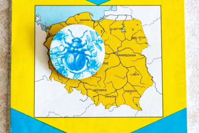Broszka / przypinka - Leci biedronka do słonka