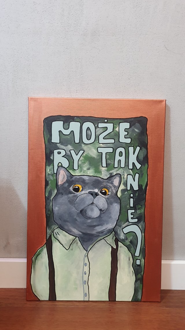 Kot Brytyjski 40x60