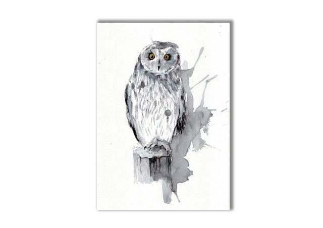Grafika ręcznie malowana "Sowa"