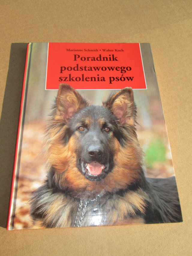 Szkolenie psów