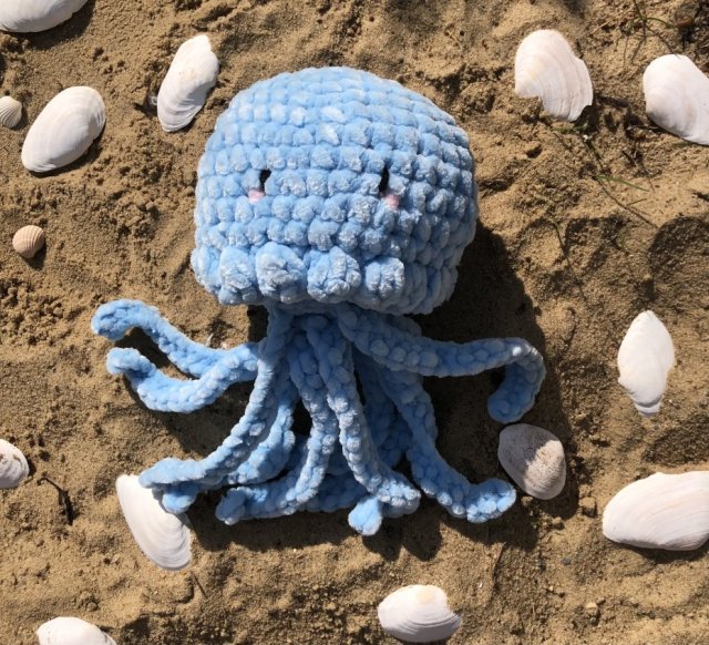 Meduza Aurelia