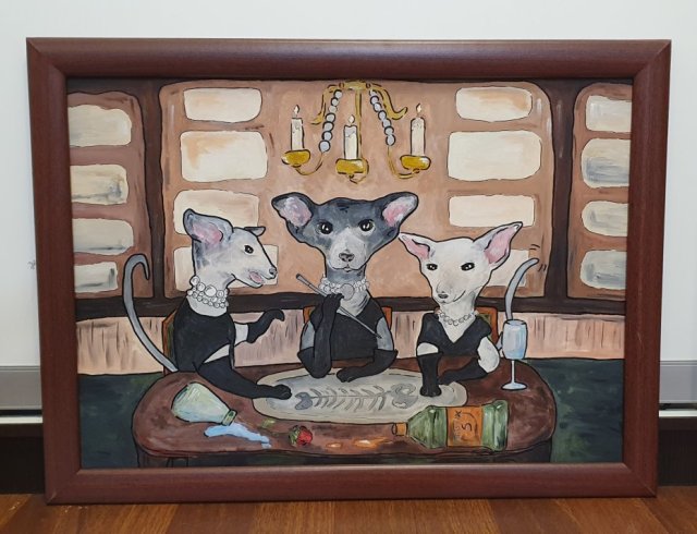 Obraz Koty Peterbald Orientalne 50x70