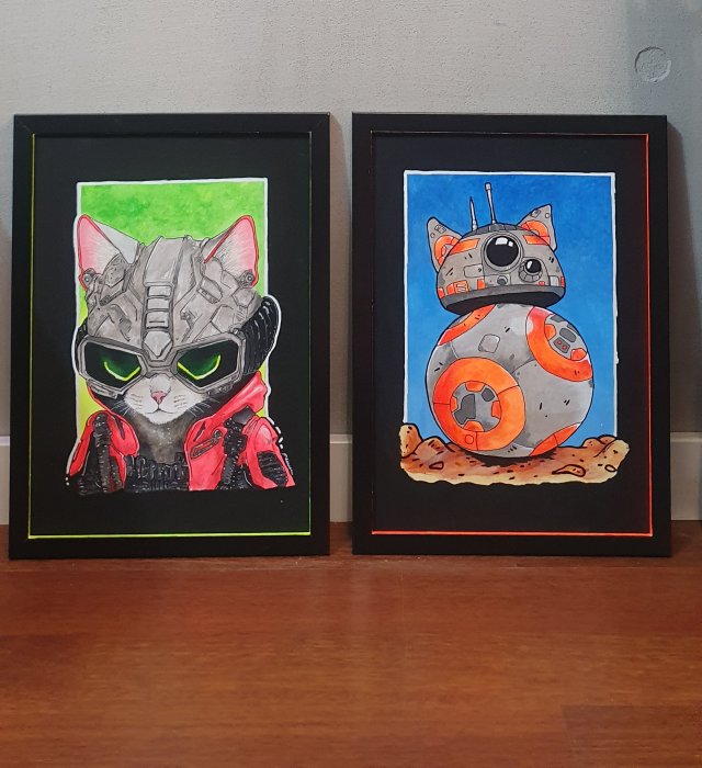 2x A3 obraz Koci Star Wars UV