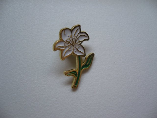 PIN PRZYPINKA BROSZKA LILIA