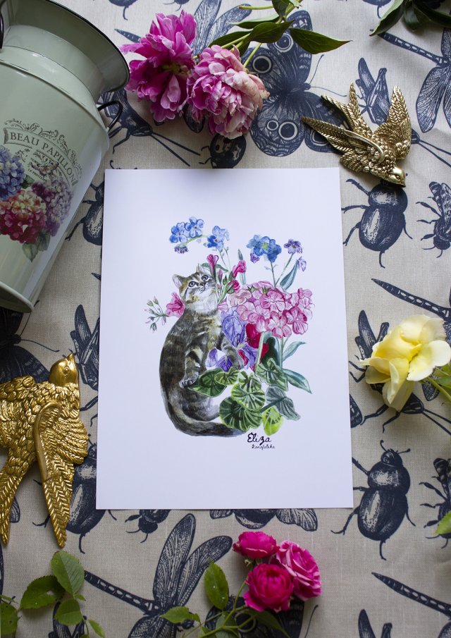 Plakat Kot w Pelargoniach