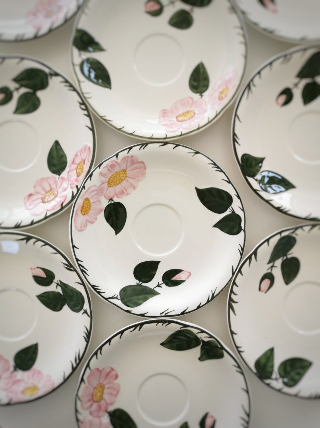 Talerzyki Wild Rose od Villeroy & Boch
