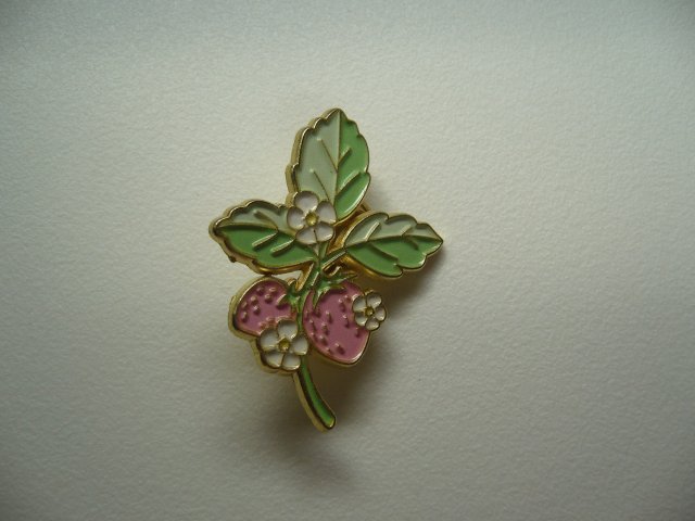 PIN PRZYPINKA BROSZKA TRUSKAWKI
