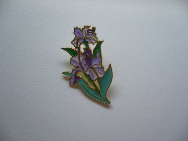 PIN PRZYPINKA BROSZKA IRYSY