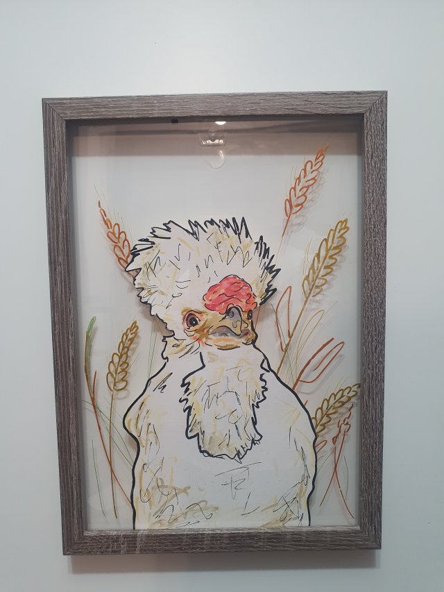 Obraz Grafika Kogut A4