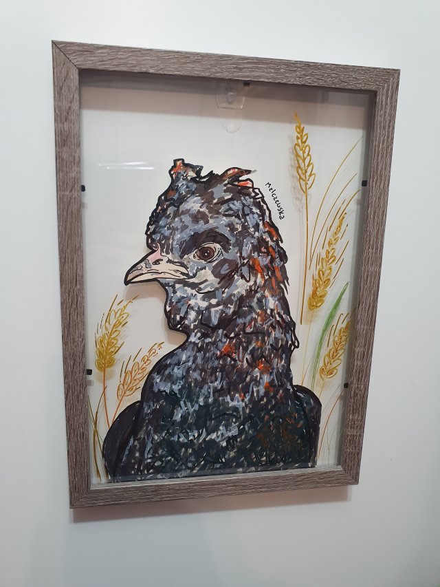 Obraz Grafika A4 Kura Kogut