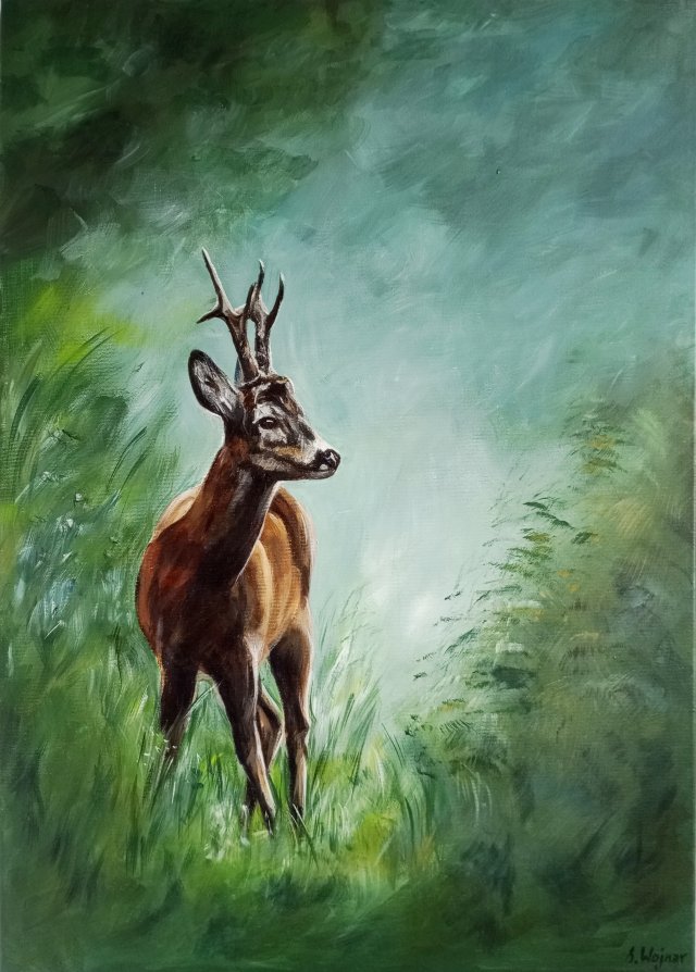 Sarna kozioł, oryginał, akryl na płótnie 50x70 cm