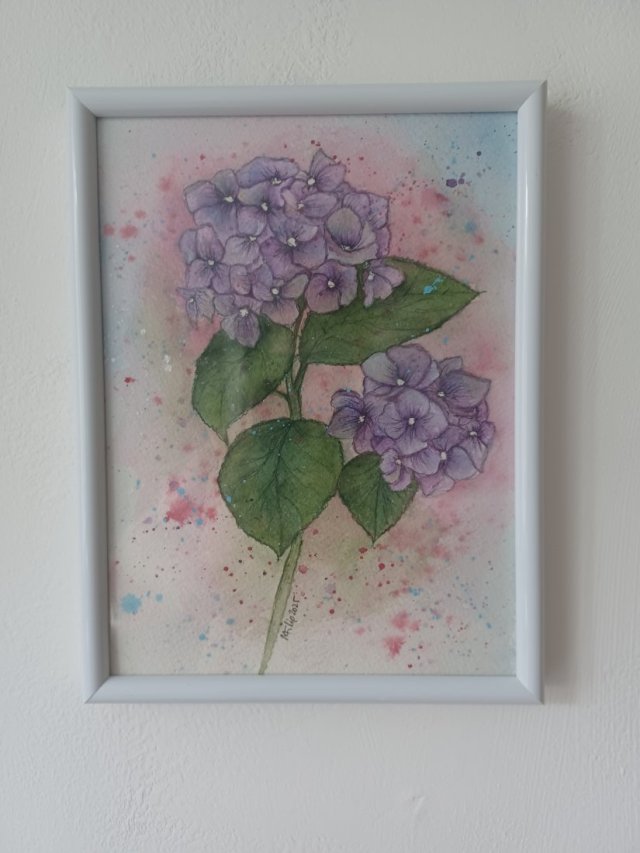 Akwarela w białej ramce Hortensja 21*16 cm