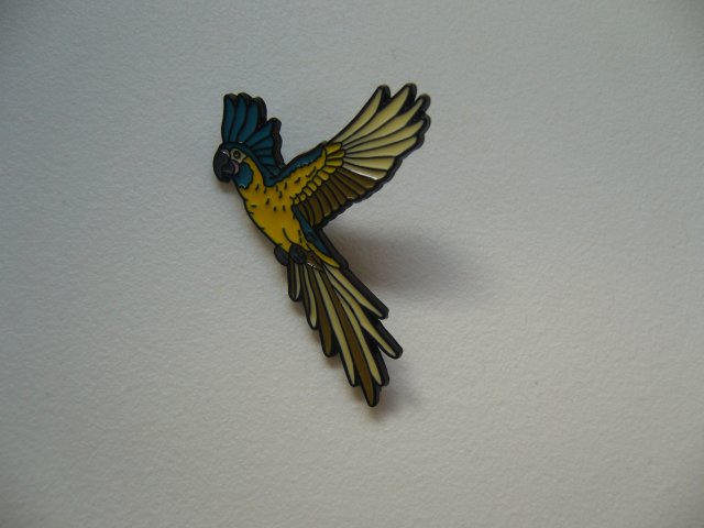PIN PRZYPINKA BROSZKA PAPUGA